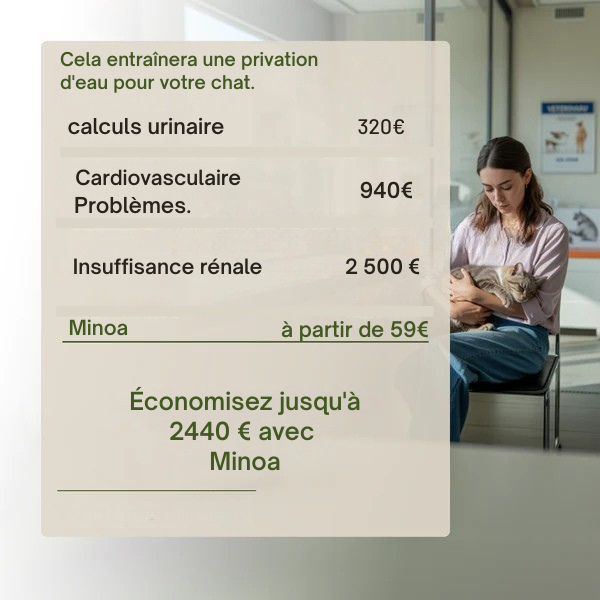 Fontaine à eau pour chats sans fil MINOA 2.0